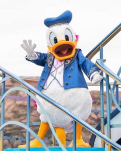 Packing for a Week at Disney Packing for a Week at Disney