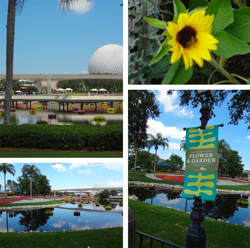 Epcot (Disney World) during the Flower & Garden Show