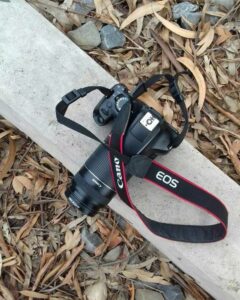 Highlights from Weeks 2 & 3 of my Clickin’ Moms Class Shooting 101: First Steps with a DSLR