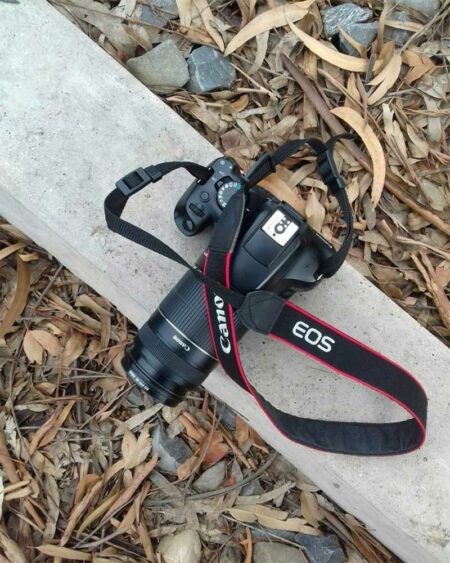 Shooting 101: First Steps with a DSLR