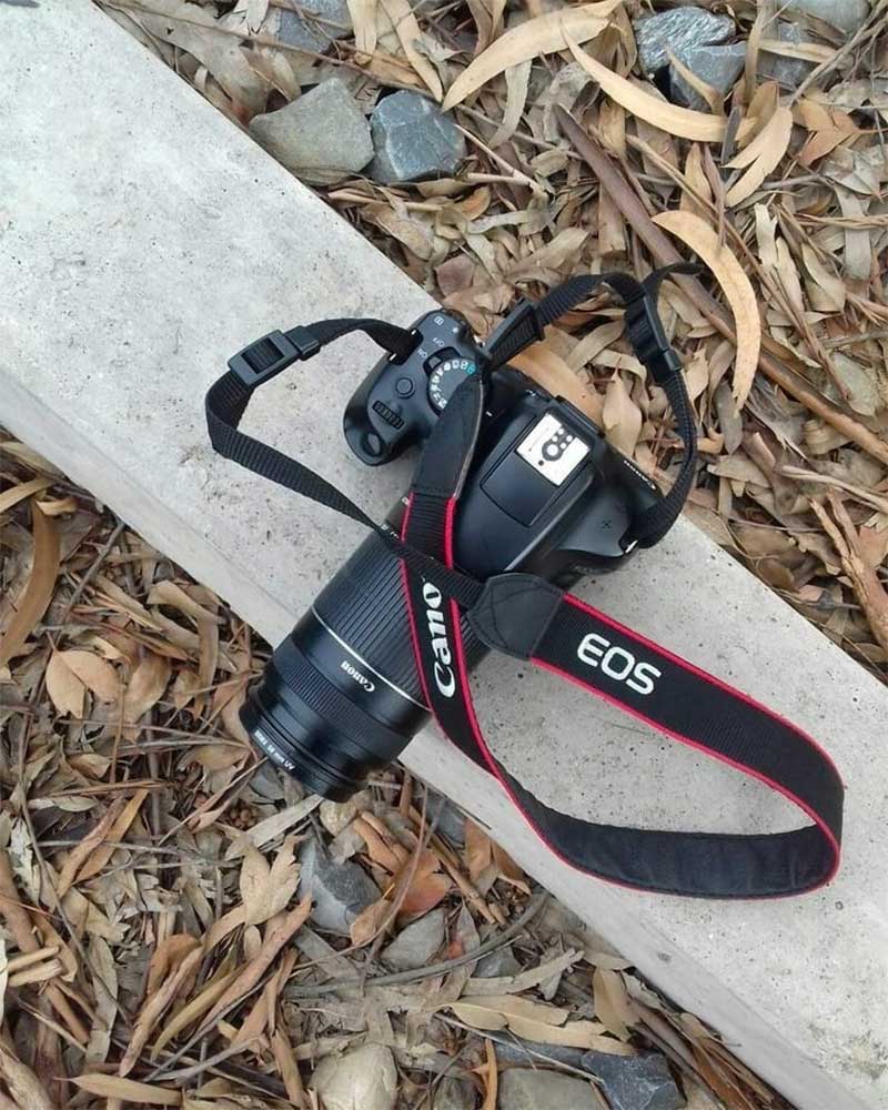 Shooting 101: First Steps with a DSLR