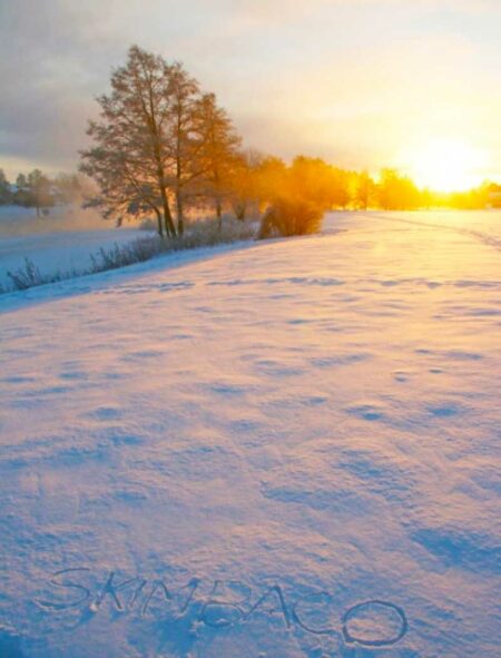 Scandinavian winter