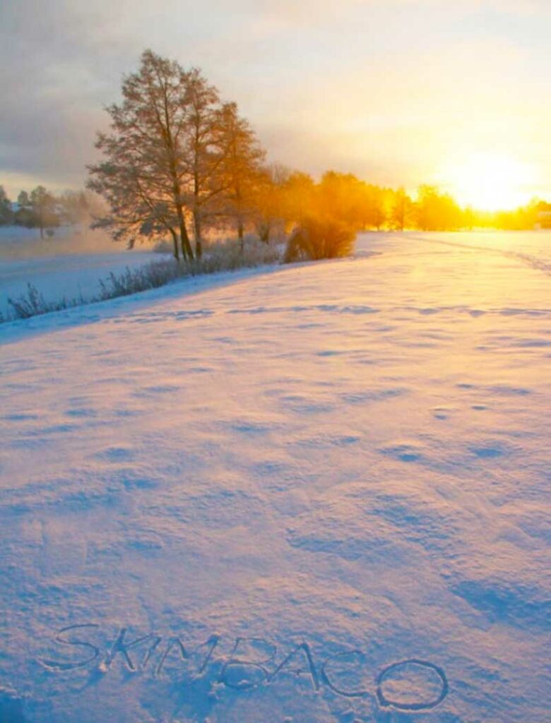 Scandinavian winter