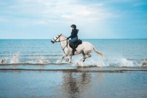 The Major Benefits of Horse Riding The Major Benefits of Horse Riding