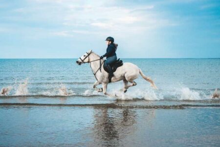 The Major Benefits of Horse Riding