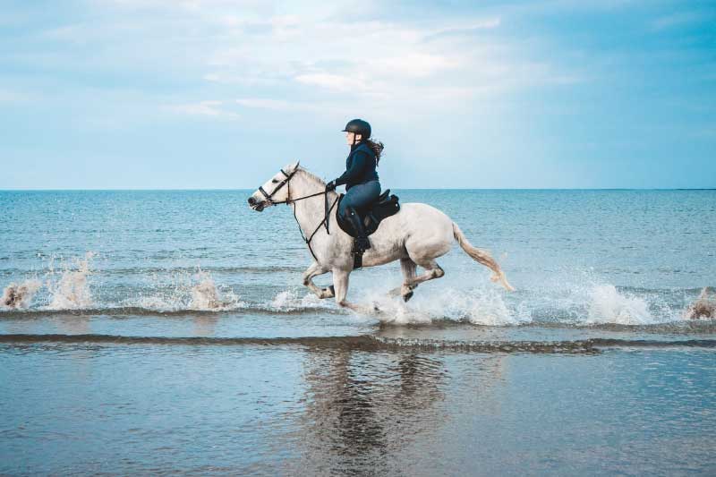 The Major Benefits of Horse Riding