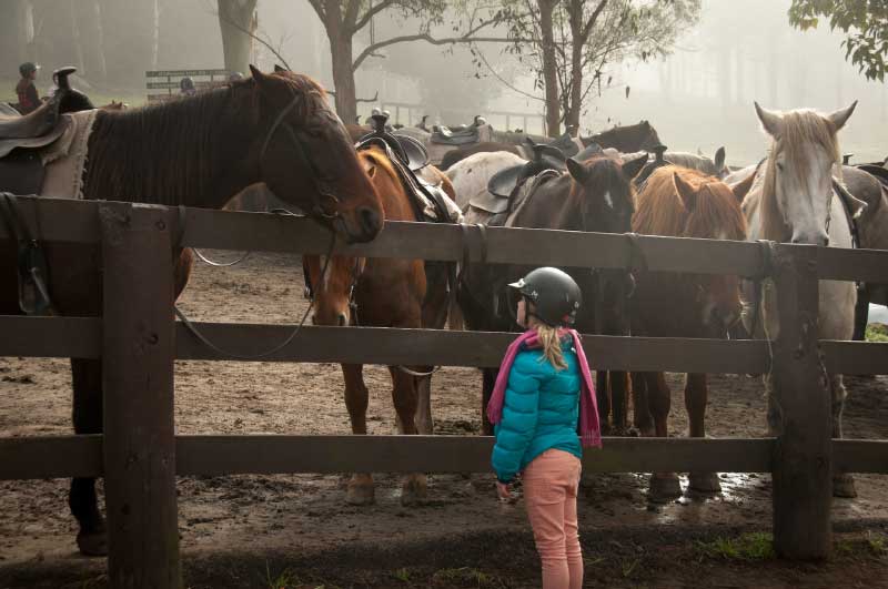 Mental Health Benefits of Riding a Horse