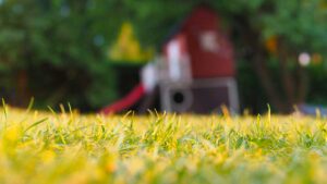 How To Take Care Of Your Backyard When You're Busy