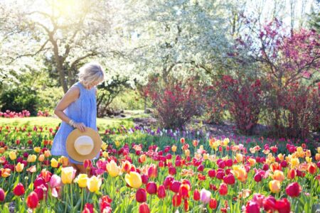 Best Water Features That Are Crucial For Creating A Summer Garden