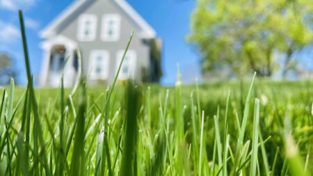 Renovating Your Home Soon? Don’t Forget the Outside!