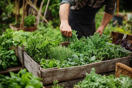 Sustainable Gardening Techniques for Healthier Plants