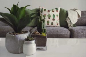 Indoor Air Quality