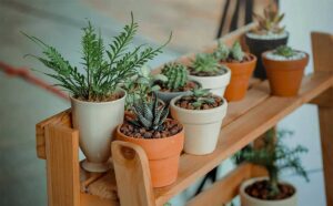 Tips for Having a Home That's Good For Your Health