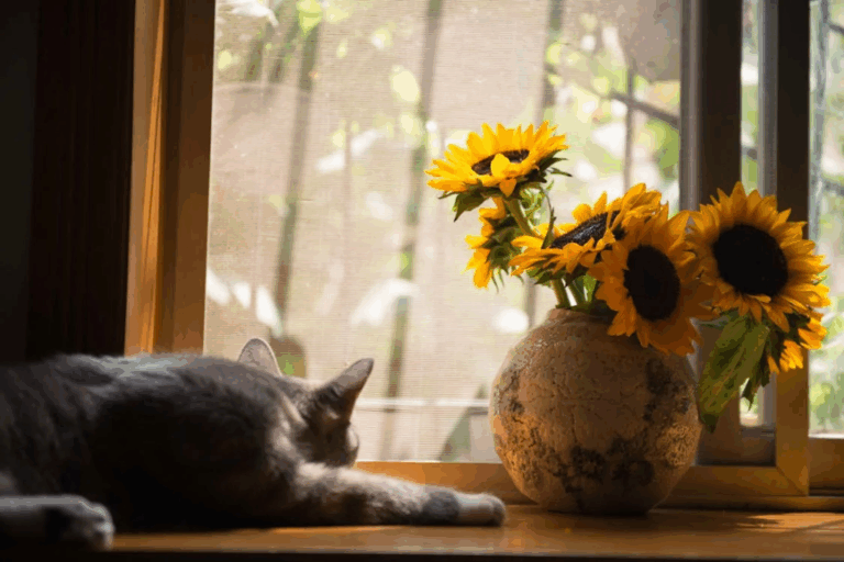 Decorating A Home With Climbing Kids & Pets